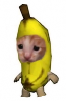 NikitaMiroshnichenko аватар