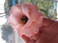 Поля аватар